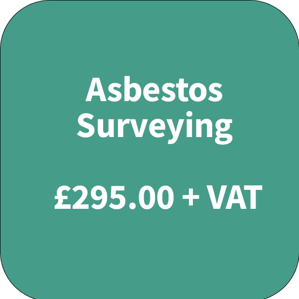 Asbestos Surveys